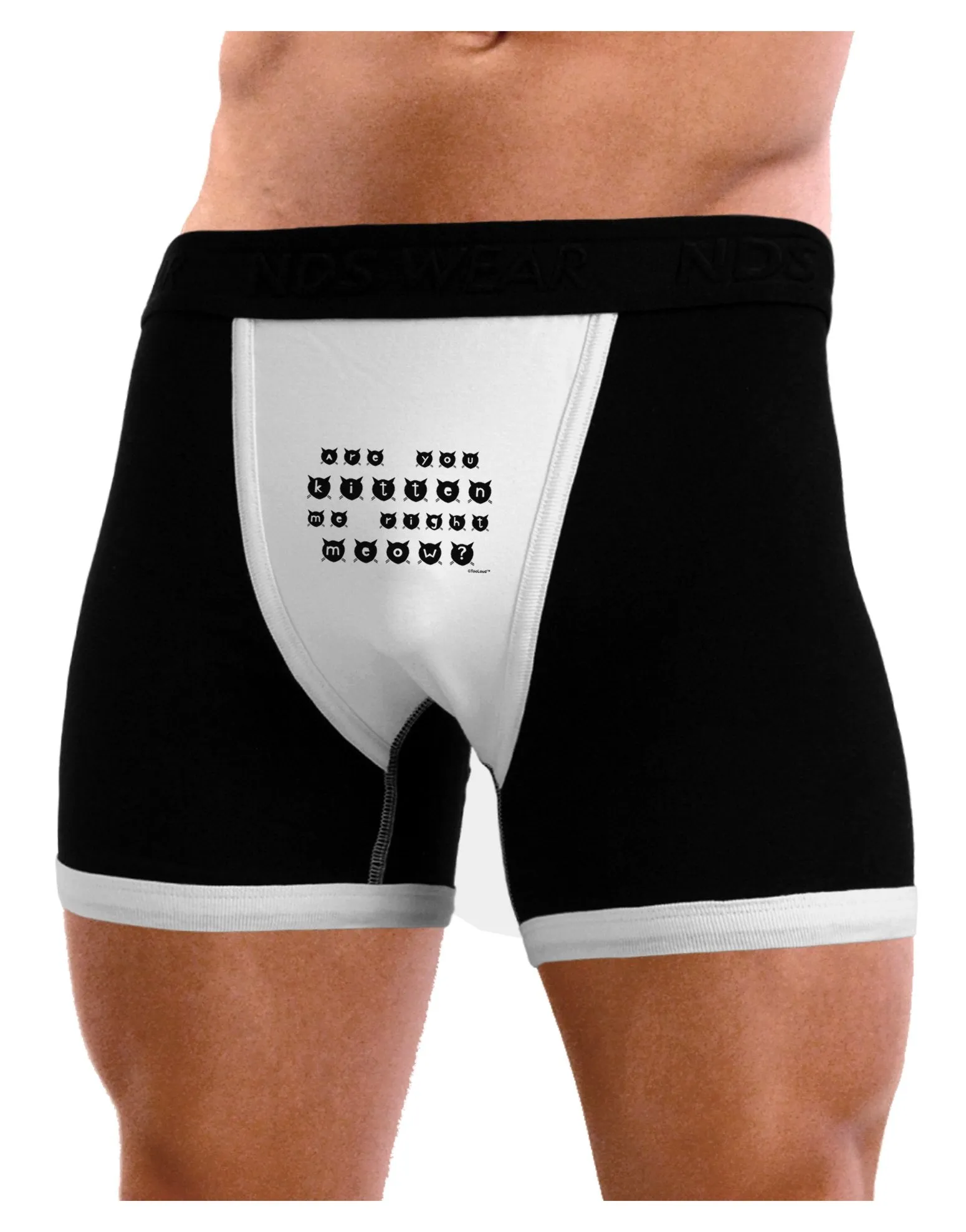 Are You Kitten Me Right Meow Cats Mens Boxer Brief Underwear
